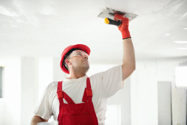 Best Commercial Painting  in Manor, TX